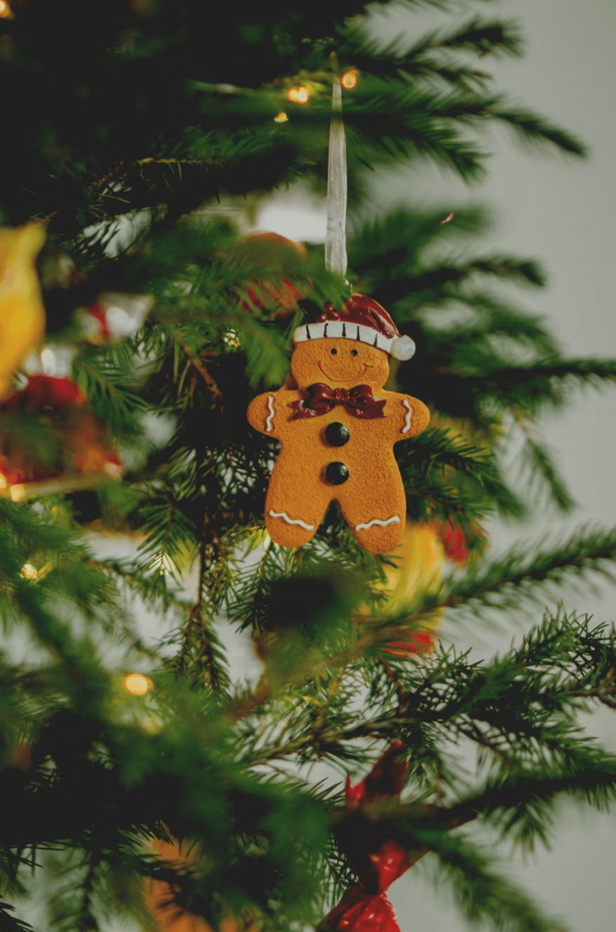 Original image with background